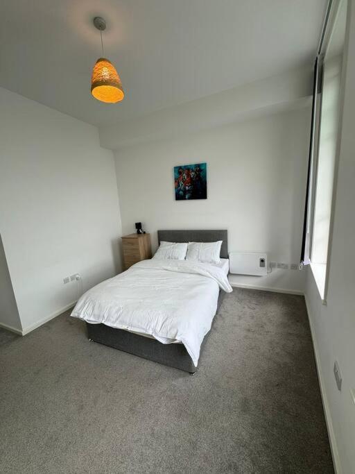 Spacious Flat In Sheffield City Center Gs304 Εξωτερικό φωτογραφία